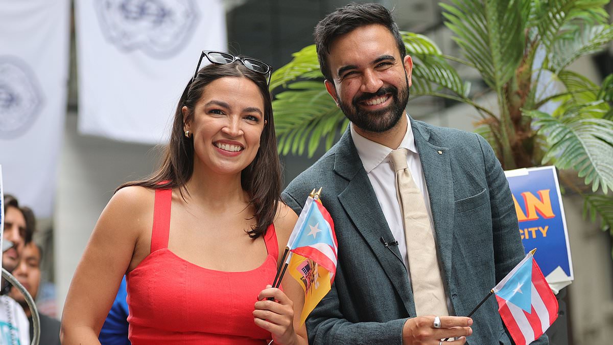 alert-–-watch-democrats-squirm-as-they’re-grilled-on-who’s-really-leading-their-party-as-young-‘communists’-rise-in-ranks