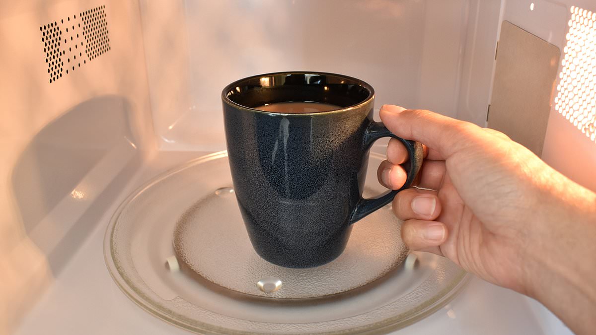 alert-–-gen-zs-are-ditching-the-kettle-and-instead-microwaving-cups-of-tea