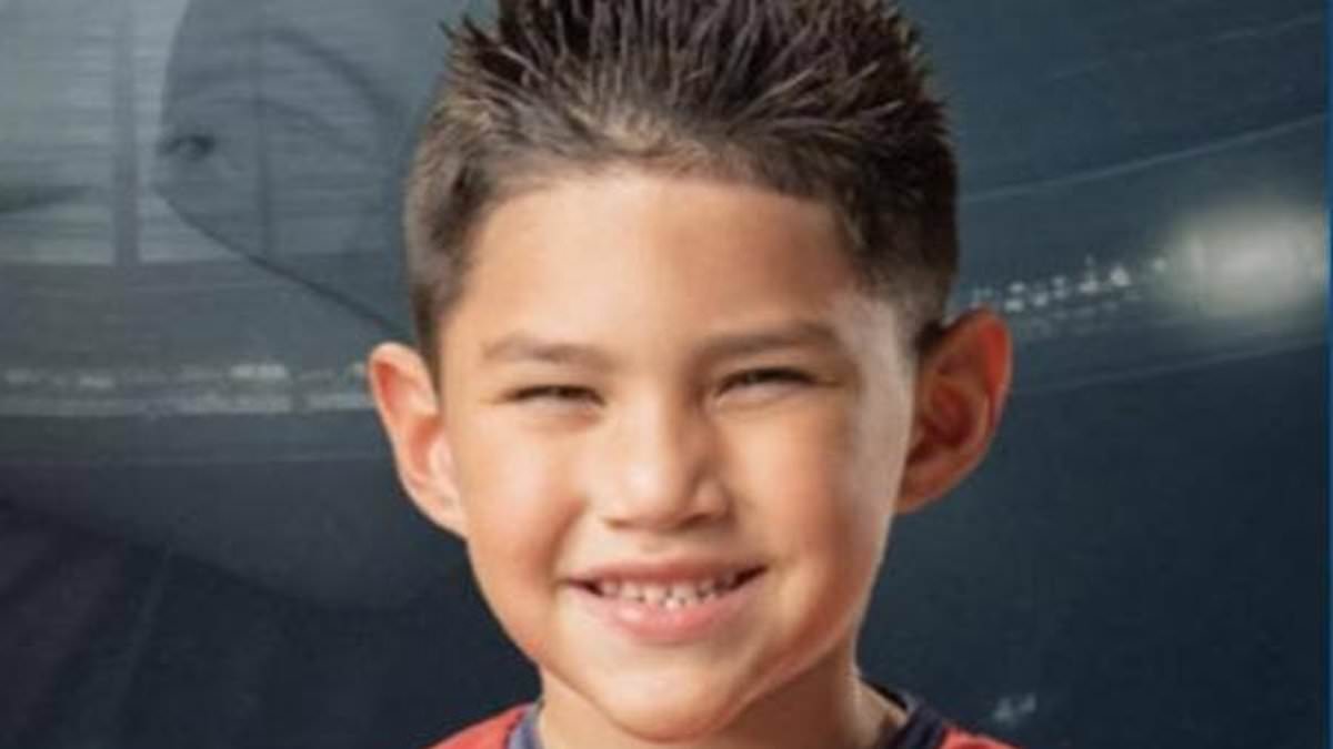 alert-–-boy,-6,-is-killed-in-car-crash-as-his-three-brothers-fight-for-their-lives-in-hospital