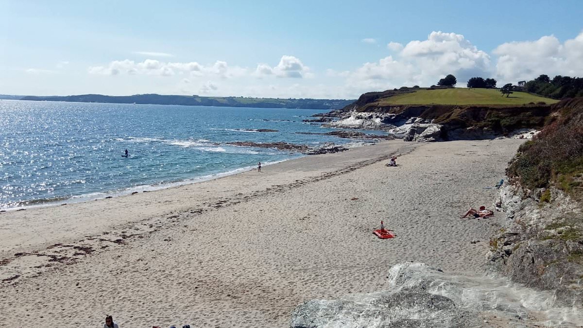 alert-–-swimmer,-54,-‘dies-in-front-of-his-partner’-after-getting-into-difficulty-in-cornwall