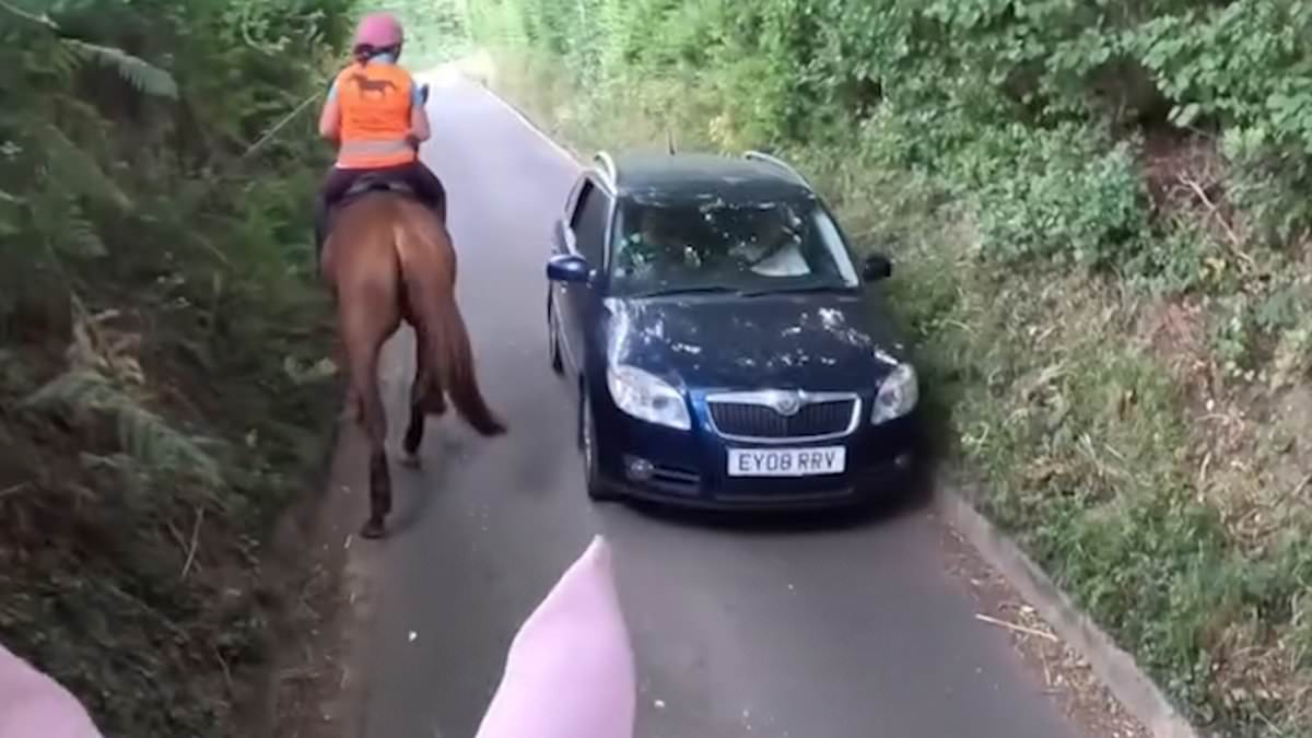 alert-–-moment-horse-rider-shouts-at-passing-motorist…but-viewers-are-divided-over-who-is-really-in-the-wrong
