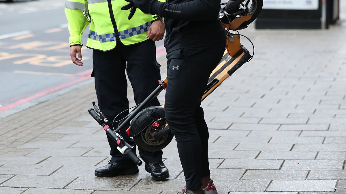 alert-–-e-scooter-riders-may-be-forced-to-display-licence-plates,-pass-a-test-and-have-insurance-amid-crackdown-to-restore-order-on-streets
