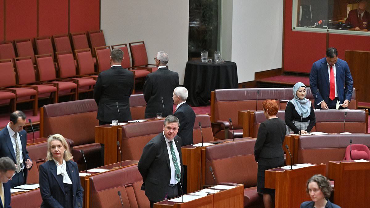 alert-–-backlash-erupts-over-pauline-hanson’s-acknowledgement-of-country-stunt-in-parliament-–-so-do-her-critics-have-a-point?