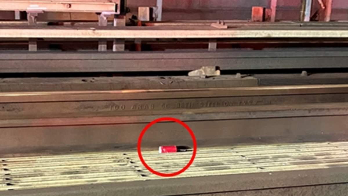 alert-–-manhattan-bomb-plotter-accused-of-stashing-homemade-explosives-on-subway-tracks-and-rooftops