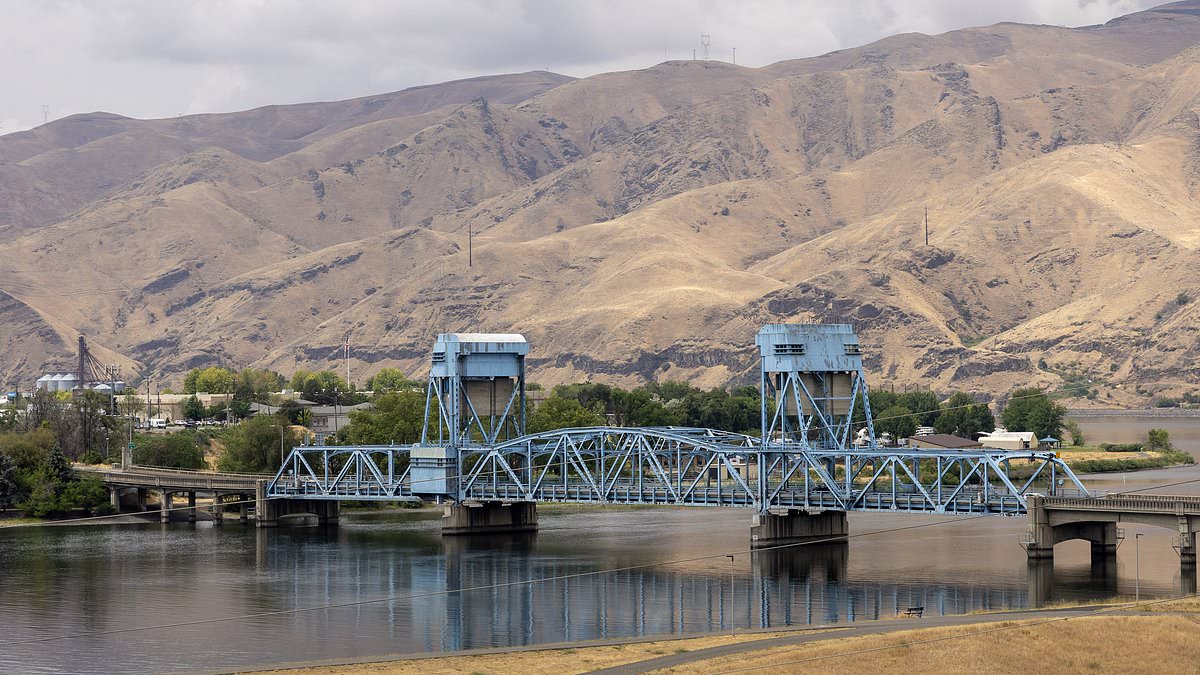 alert-–-laura-collins-retraces-bryan-kohberger’s-frantic-escape-from-the-idaho-slaughter-scene-to-locate-where-he-ditched-the-missing-murder-weapon