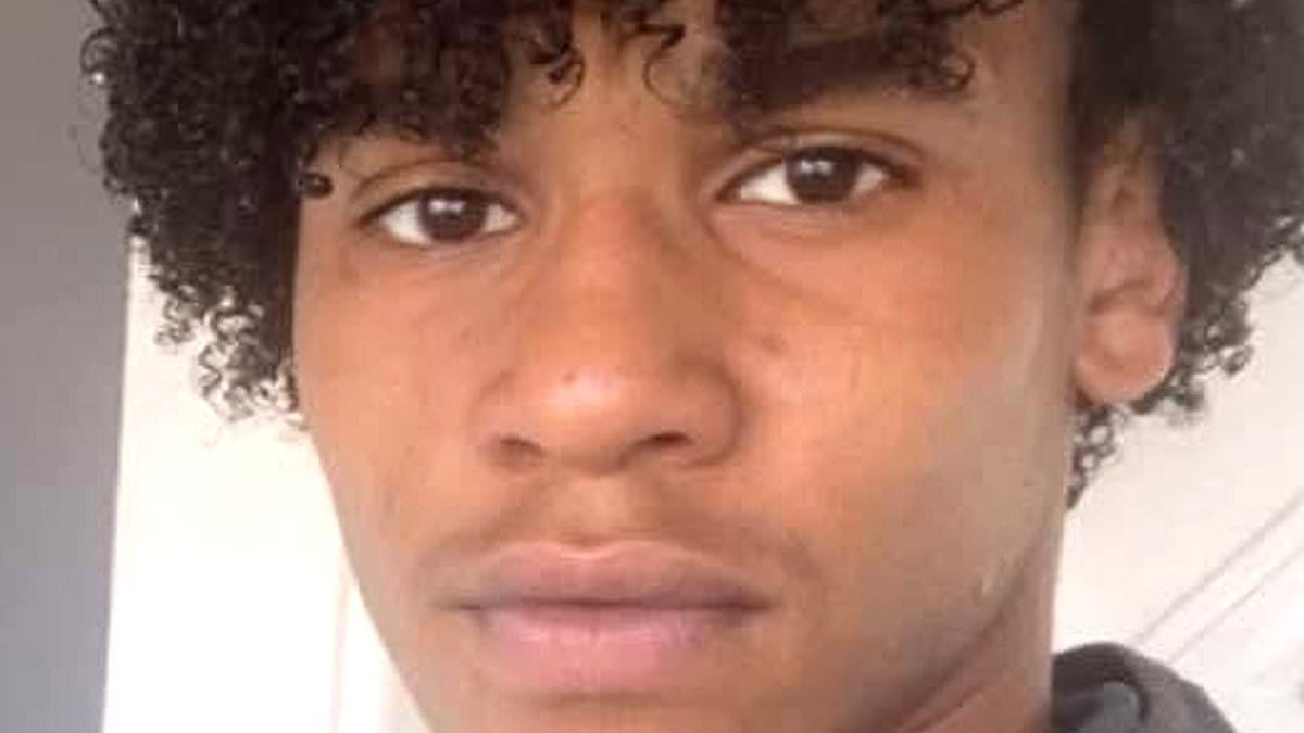 alert-–-boy,-15,-is-killed-when-car-hits-e-bike-–-as-59-year-old-man-appears-in-court-charged-with-teen’s-murder