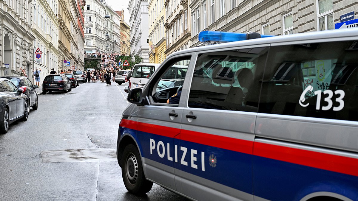 alert-–-syrian-man,-22,-who-raped-male-british-tourist,-43,-in-an-amusement-park-is-jailed-for-10-years-in-austria