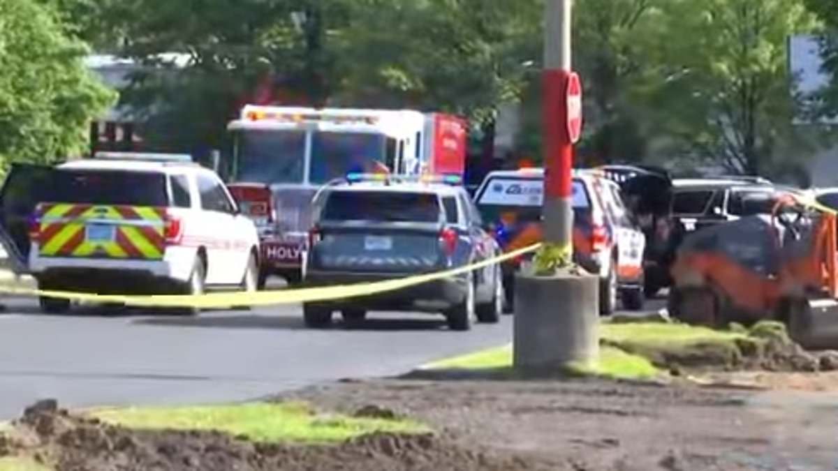 alert-–-shooter-is-arrested-after-opening-fire-at-busy-massachusetts-mall