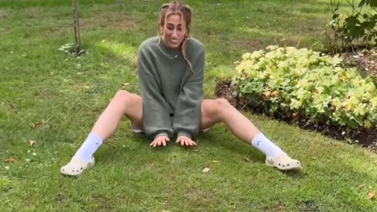 alert-–-stacey-solomon-gives-her-dog-‘a-second-chance-in-life’-as-she-reveals-teddy-is-now-in-a-wheelchair-after-his-devastating-diagnosis