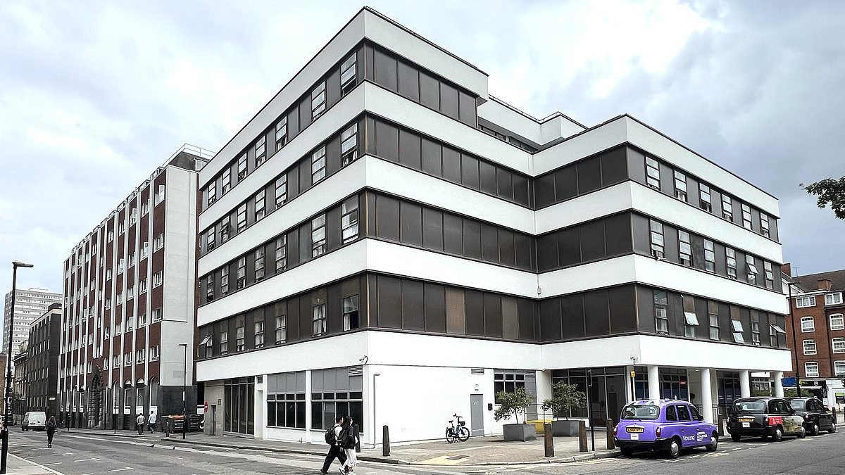 alert-–-how-a-three-star-migrant-hotel-in-barbican-became-a-living-nightmare-for-locals:-blazing-mattresses-and-a-tv-hurled-from-windows…-and-no-fewer-than-41-‘guests’-charged-with-90-offences-ranging-from-rape-to-sexual-assault,-robbery-and-bag-snatching