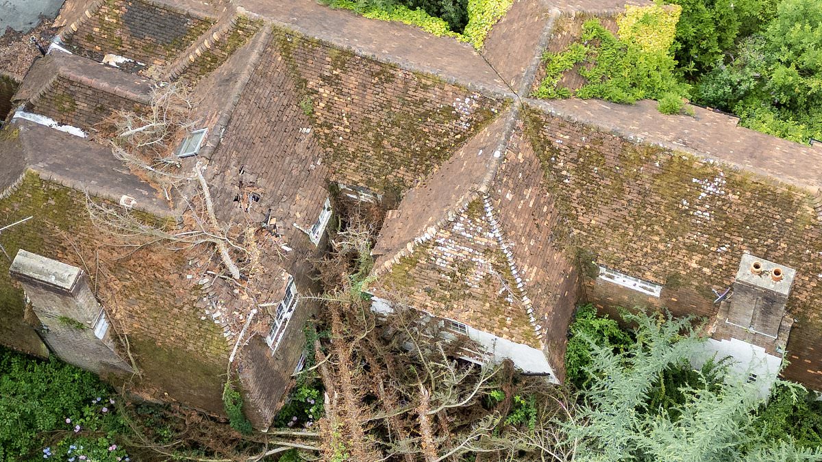 alert-–-tragic-reason-why-3m-overgrown-mansion-was-left-abandoned-with-two-sports-cars-and-rooms-full-of-luxury-belongings-still-inside