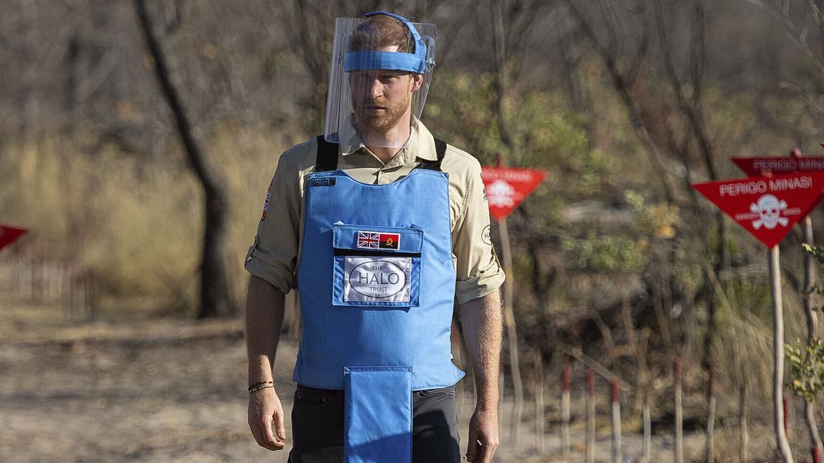 alert-–-prince-harry-went-off-grid-and-was-uncontactable-during-secret-three-day-visit-to-botswana