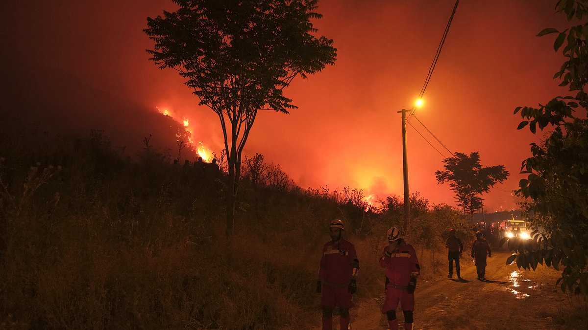 alert-–-raging-wildfires-hit-another-popular-british-holiday-destination:-turkey-next-to-suffer-deadly-blazes-as-country-swelters-in-50.5c-heat