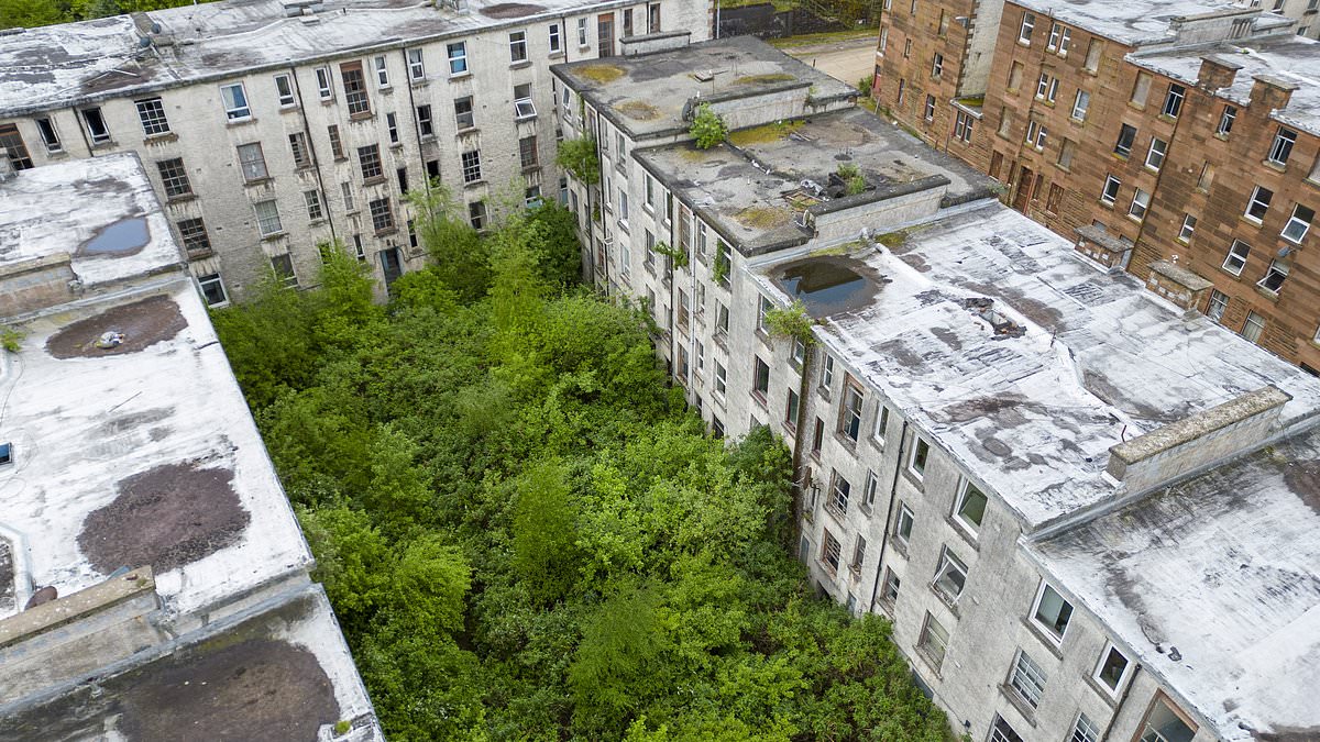 alert-–-inside-the-apocalyptic-scottish-estate-dubbed-‘britain’s-answer-to-chernobyl’-which-is-finally-being-torn-down-after-decades-of-decay-despite-five-people-still-living-there