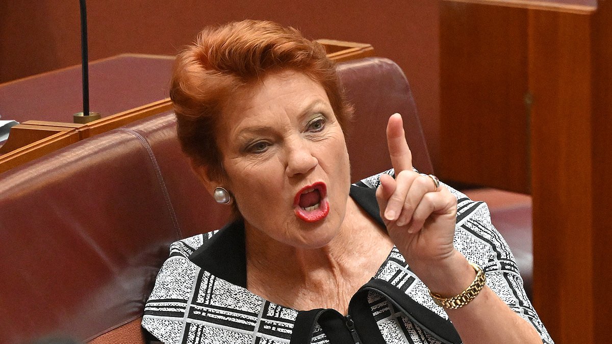 alert-–-pauline-hanson’s-urgent-wake-up-call-for-anthony-albanese:-‘i-will-not-stand-by-while-australia-is-driven-into-the-ground’