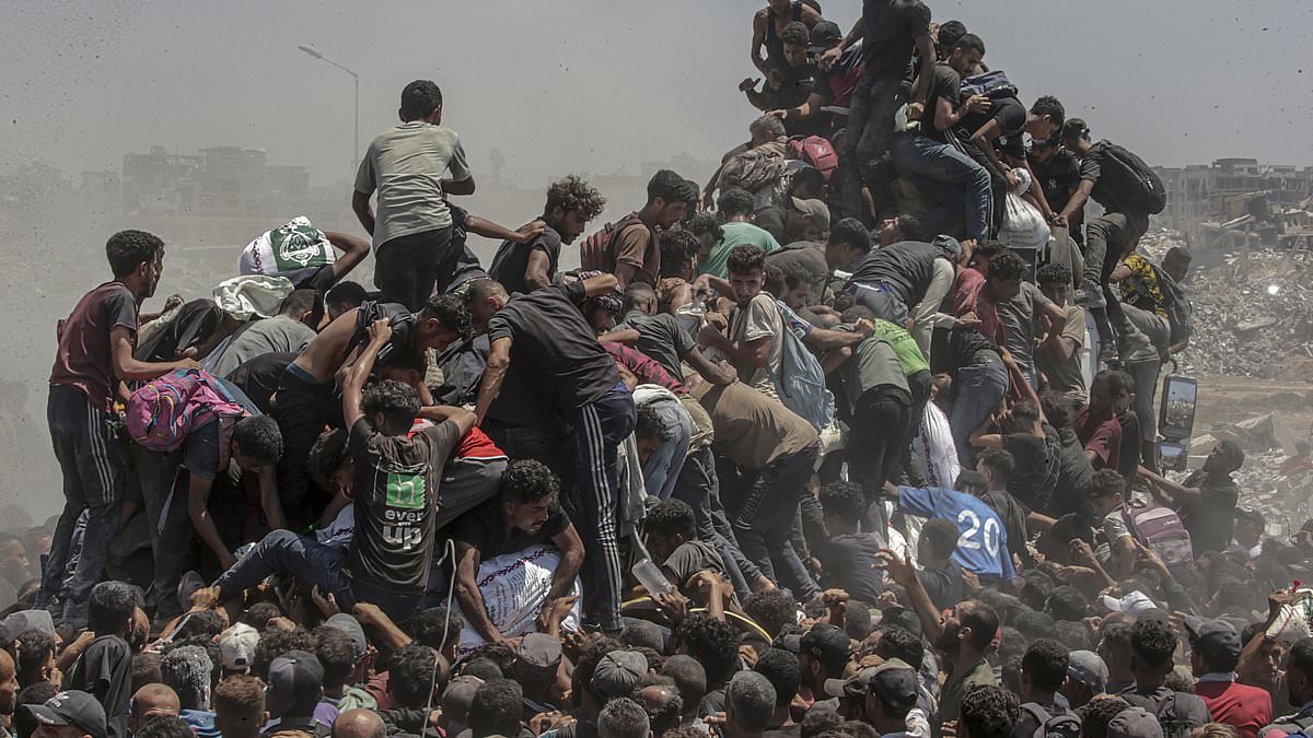 alert-–-videos-‘show-hundreds-of-palestinians-descend-on-aid-trucks-in-gaza’-as-israel-begins-‘pause’-in-fighting-and-netanyahu-denies-‘man-made,-mass-starvation’-claims