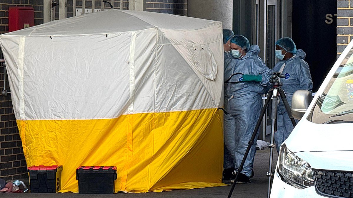 alert-–-two-men,-58-and-27,-die-in-quadruple-stabbing-horror-at-london-business,-with-a-third-man-fighting-for-his-life-in-hospital