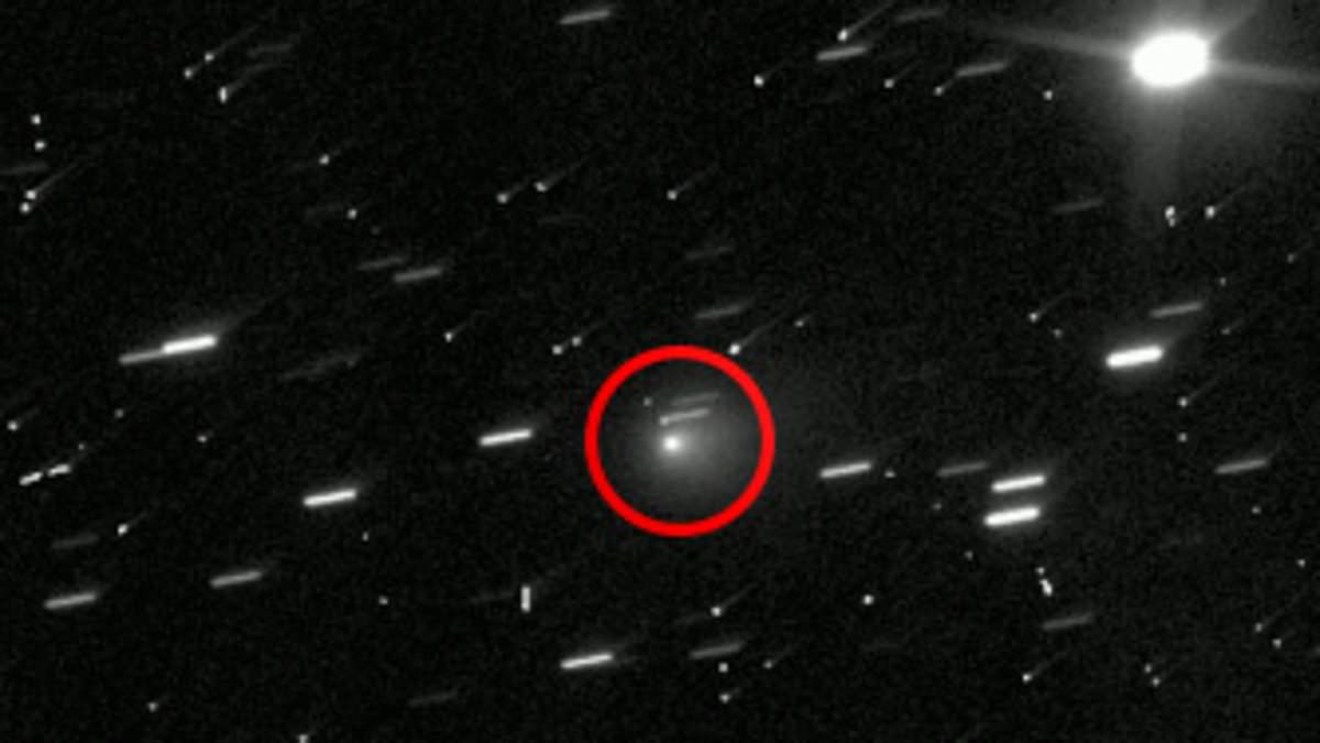 alert-–-harvard-scientist-warns-‘hostile’-alien-craft-could-strike-earth-in-just-months