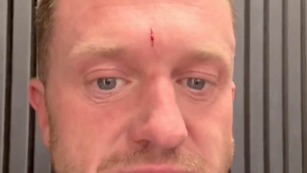 alert-–-tommy-robinson-‘flees-britain-after-station-attack’:-police-confirm-‘suspect’-boarded-flight-out-of-country-after-man-was-taken-to-hospital-following-‘assault’-in-st-pancras