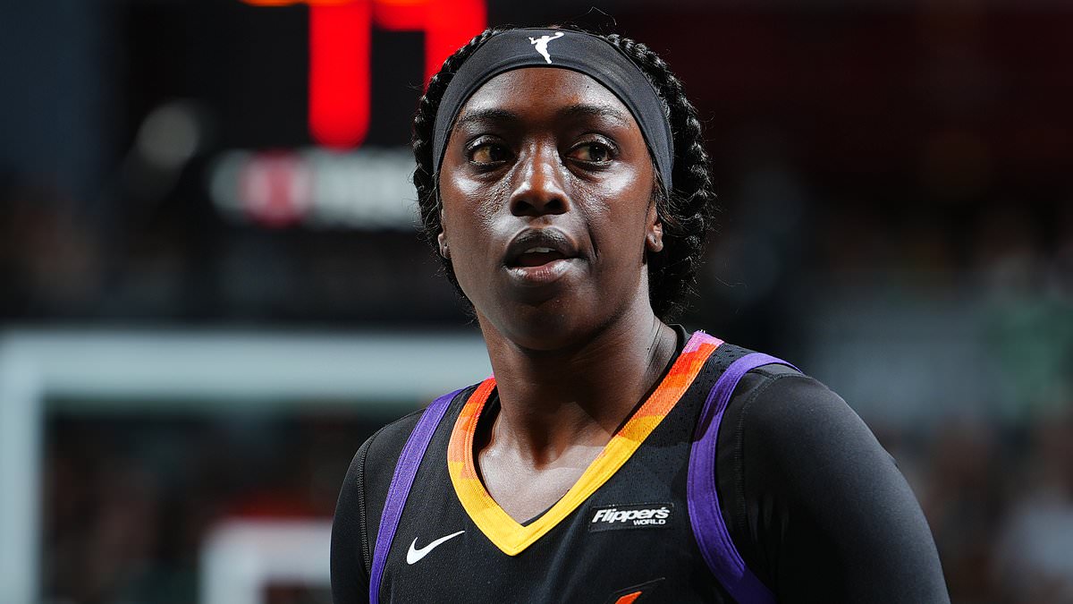 alert-–-wnba-game-stopped-after-fan-mocks-phoenix-mercury-star-kahleah-copper-for-wig-falling-off