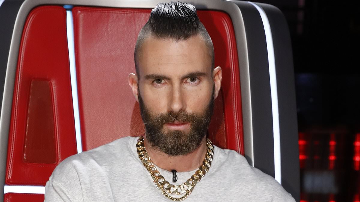 alert-–-maroon-5-star-adam-levine-sued-over-instagram-post-urging-fans-to-give-hurricane-relief-donations