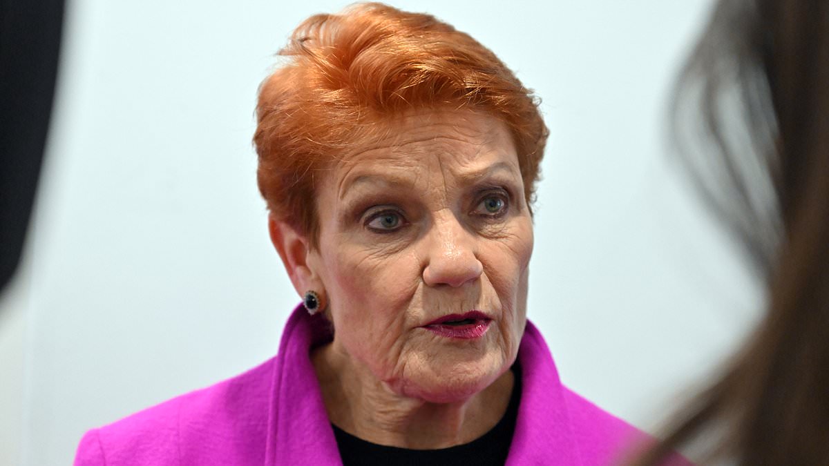 alert-–-pauline-hanson’s-stunning-comeback-to-australia’s-youngest-senator,-21,-who-accused-the-one-nation-leader-of-being-stupid