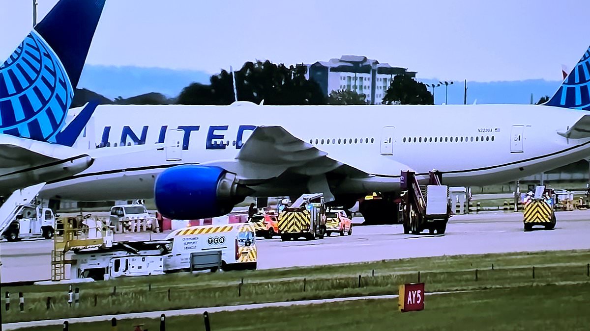 alert-–-united-airlines-plane-makes-’emergency-landing’-at-heathrow-amid-reports-of-smoke-in-the-cabin