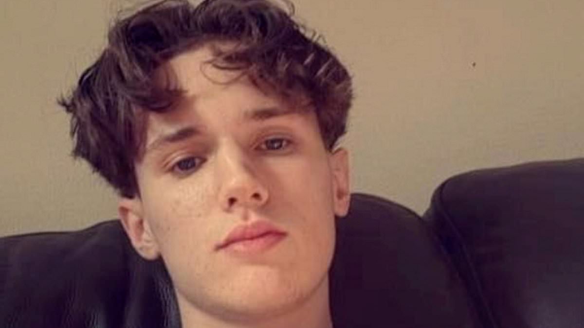 alert-–-unmasked:-gang-of-boys-who-stabbed-18-year-old-to-death-with-a-rambo-knife-‘like-zombies-attacking-an-animal’-are-pictured-for-the-first-time