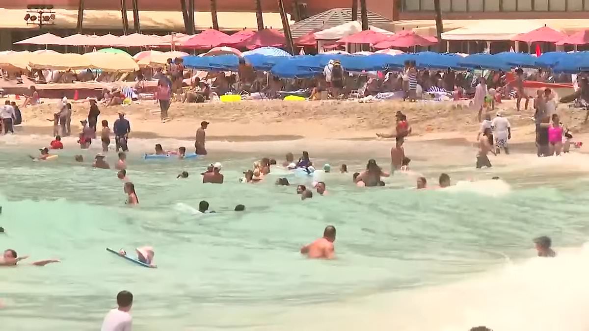 alert-–-shocking-video-shows-swimmers-and-sunbathers-ignoring-tsunami-warning-on-hawaii’s-waikiki-beach