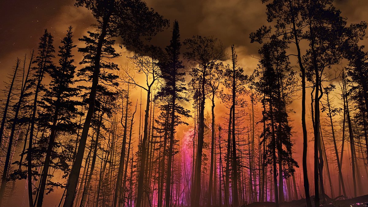 alert-–-utah-governor-declares-state-of-emergency-as-wildfires-rapidly-spread-across-thousands-of-acres
