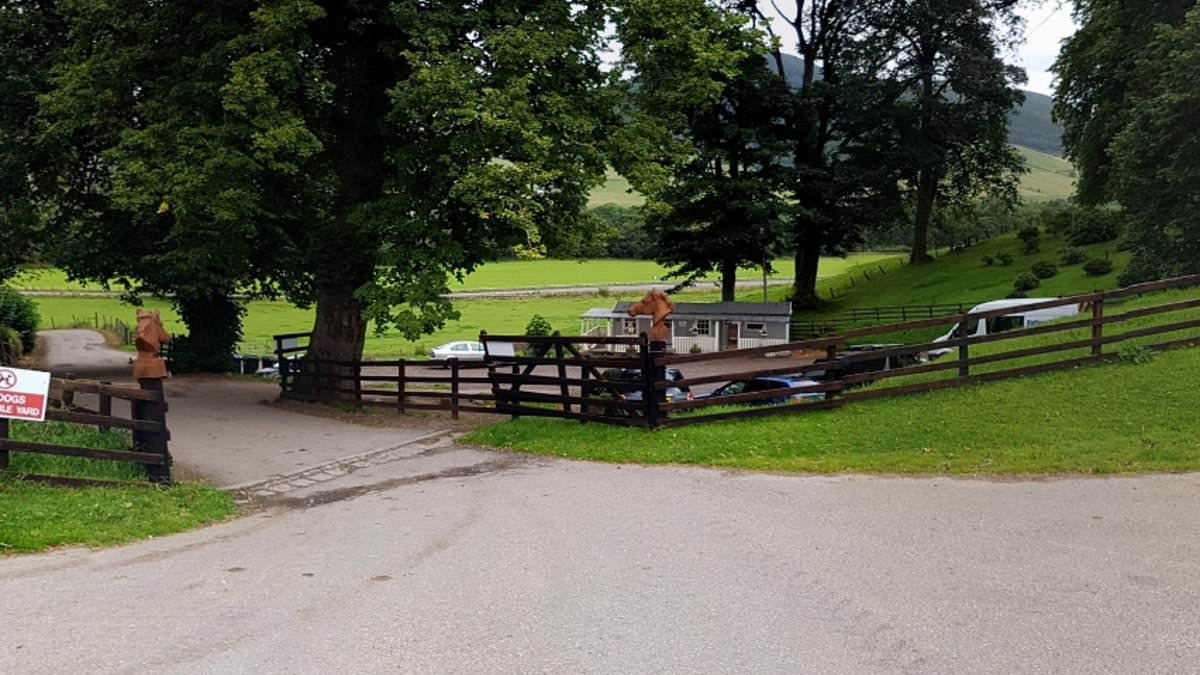 alert-–-horror-as-man-in-his-50s-‘walks-into-eight-year-old’s-tent-in-the-middle-of-the-night-and-sexually-assaults-him’-while-family-are-camping-just-feet-away