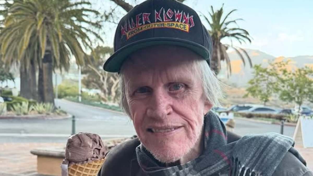 alert-–-gary-busey,-81,-pleads-guilty-to-sex-crimes-charge-after-groping-woman-during-horror-movie-convention