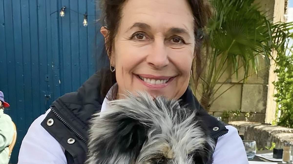 alert-–-was-a-hitman-hired-to-kill-dordogne-expat?-days-before-karen-carter’s-brutal-stabbing-a-mysterious-man-was-seen-outside-her-house.-now-locals-believe-her-murder-could-be-the-work-of-an-assassin