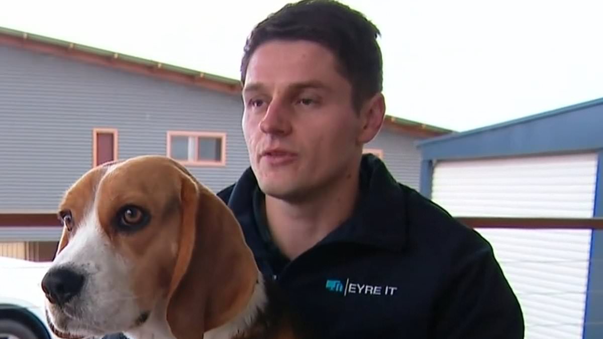 alert-–-aussie-dog-walker-shares-the-chilling-moment-his-beagle-benji-discovered-a-human-skull-in-port-lincoln-bushland