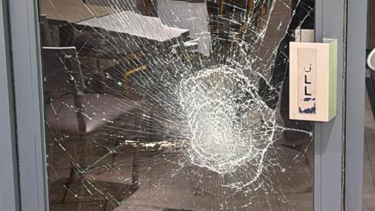 alert-–-racist-teen-girl-gang-turn-high-street-into-a-‘warzone’-as-they-raid-shops-and-smash-windows-before-gloating-‘police-are-never-going-to-help-you’-at-terrified-staff
