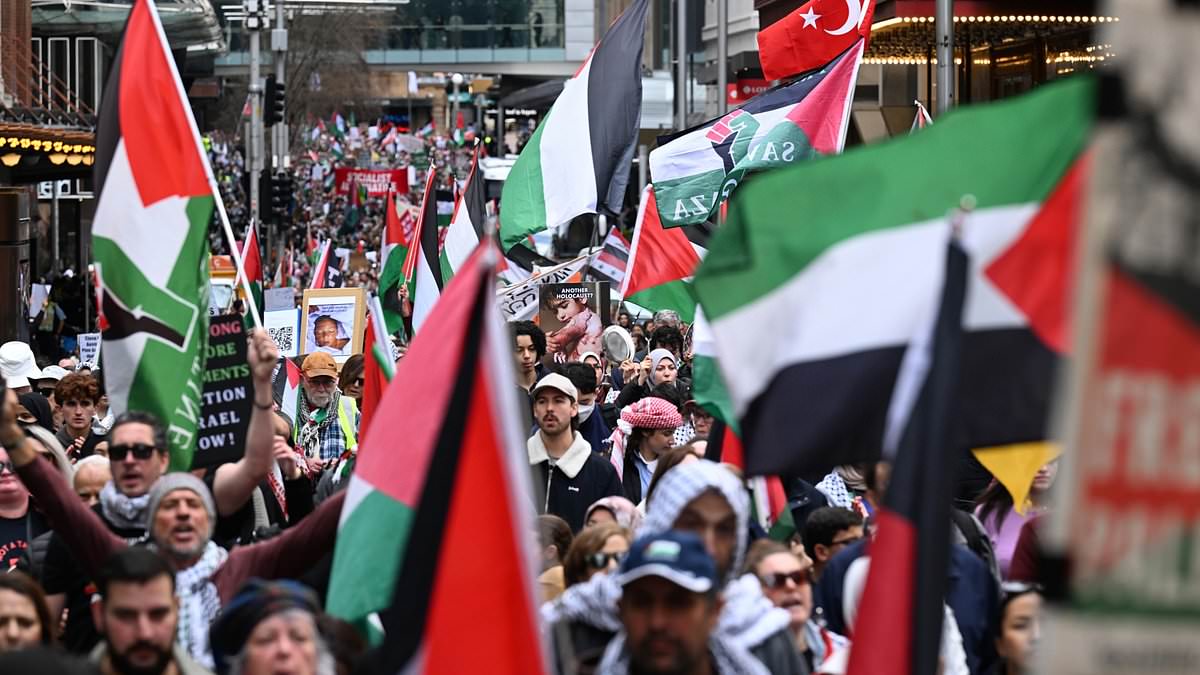 alert-–-sydney-braces-for-chaos-as-pro-palestine-protest-shuts-down-harbour-bridge:-everything-you-need-to-know-about-road-closures-and-transport-delays