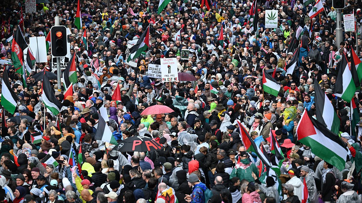 alert-–-pro-palestine-protest-live-updates:-bombshell-decision-that-means-sydney-harbour-bridge-will-be-closed-longer-–-as-julian-assange-makes-rare-appearance-at-huge-pro-gaza-rally-and-police-make-dramatic-arrest-in-melbourne