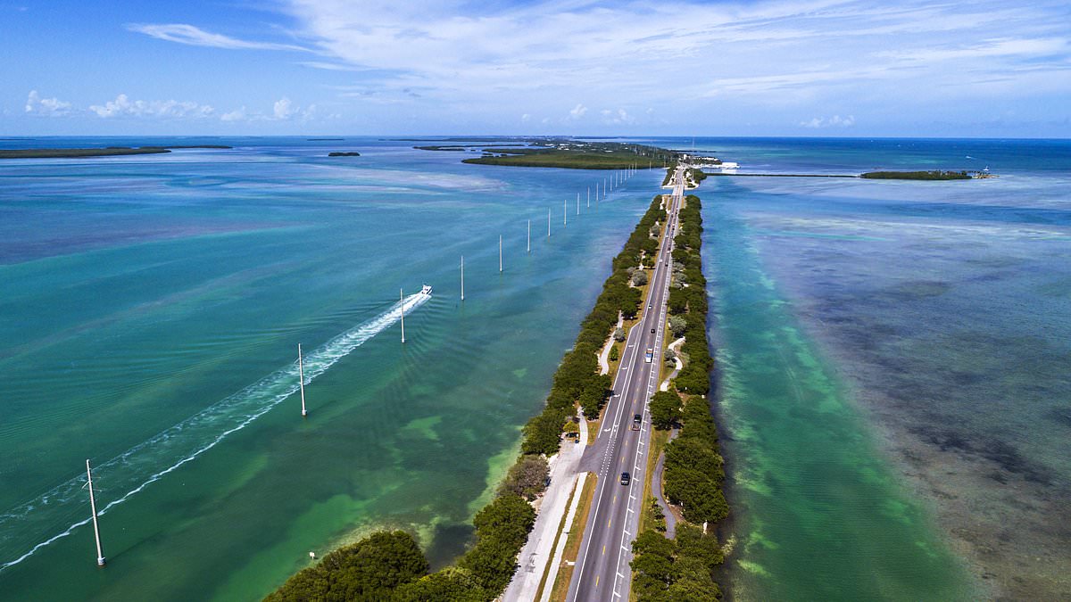 alert-–-florida-man’s-unexpected-move-after-finding-50-pounds-of-cocaine-in-the-ocean
