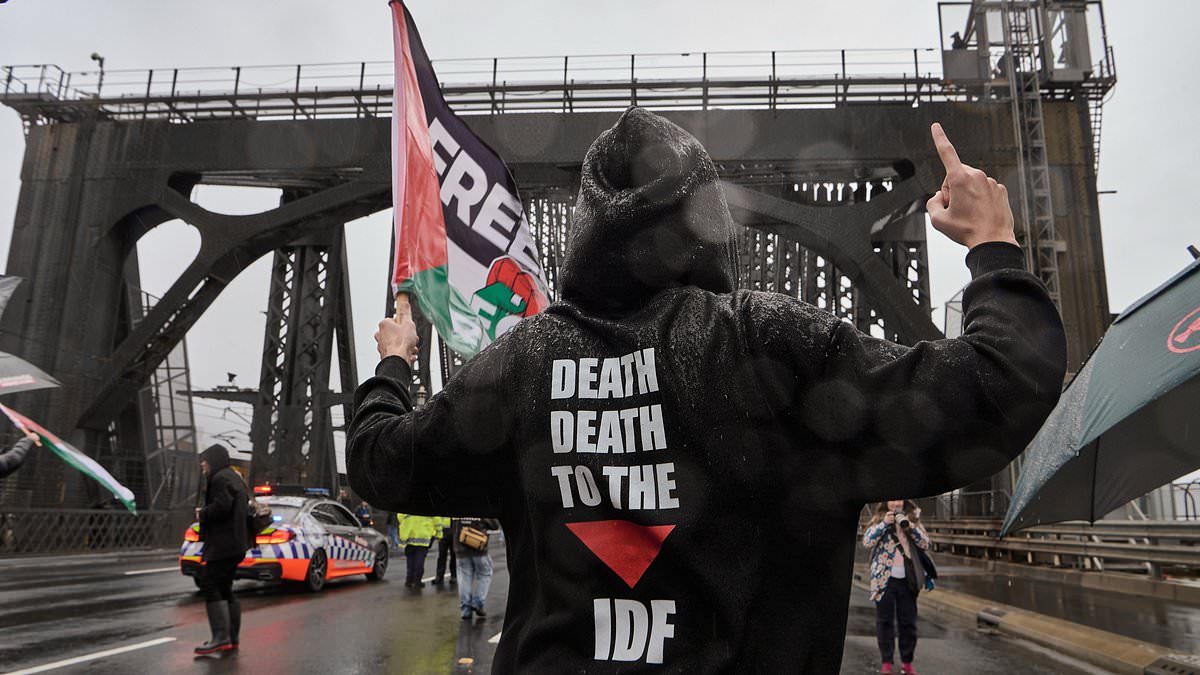 alert-–-the-shocking-signs-and-flags-at-the-harbour-bridge-protest-–-amid-warning-it-could-set-a-new-legal-precedent