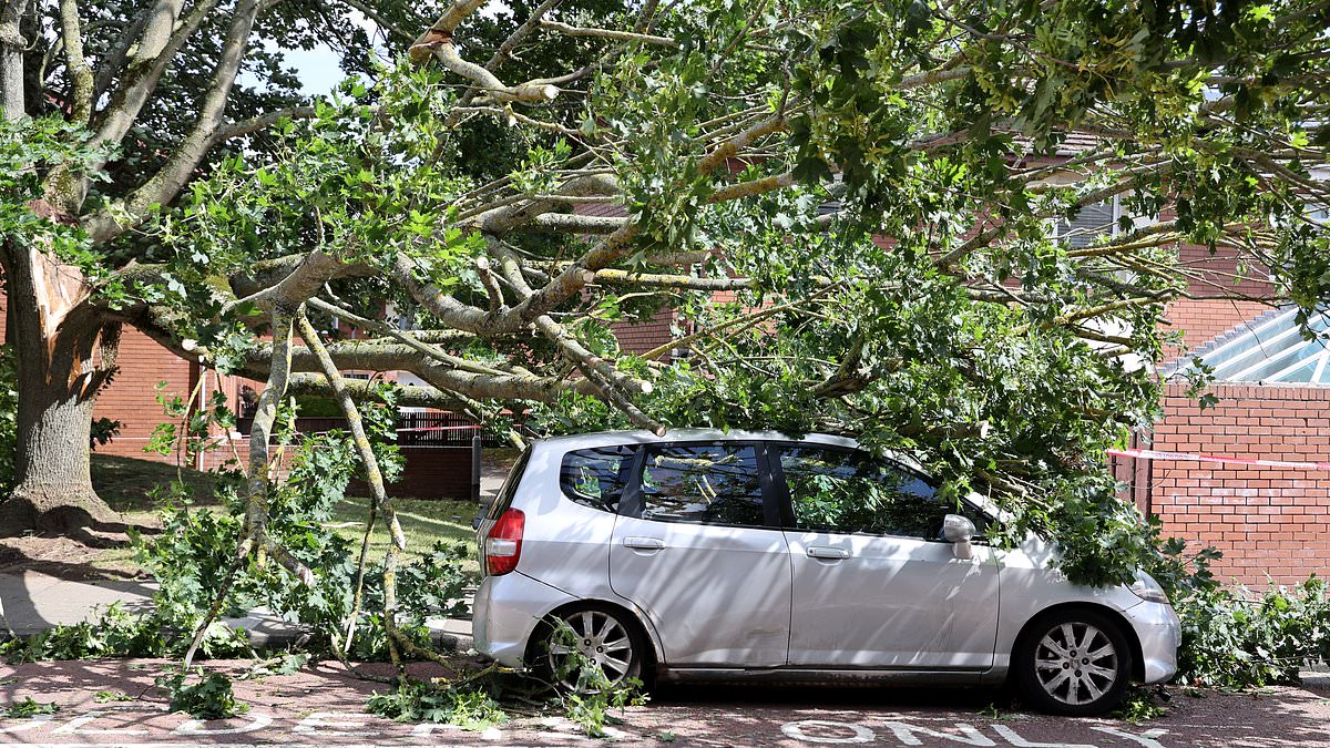 alert-–-storm-floris-batters-britain-as-fallen-trees-and-90mph-winds-cause-travel-chaos-with-flights-axed-and-trains-cancelled-–-while-tom-holland’s-spider-man-movie-is-forced-to-stop-filming
