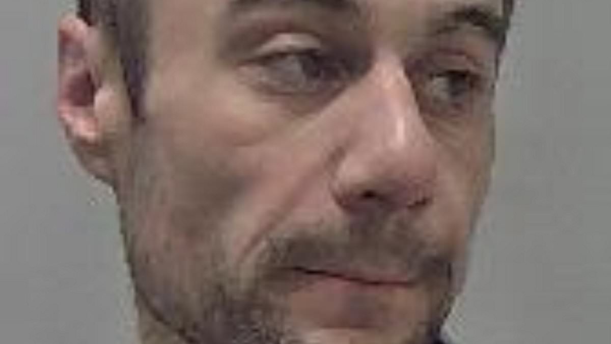 alert-–-this-is-a-fold-up!-moment-thug-tries-to-carjack-police-armed-with-a-‘gun’-made-from-a-paper-bag