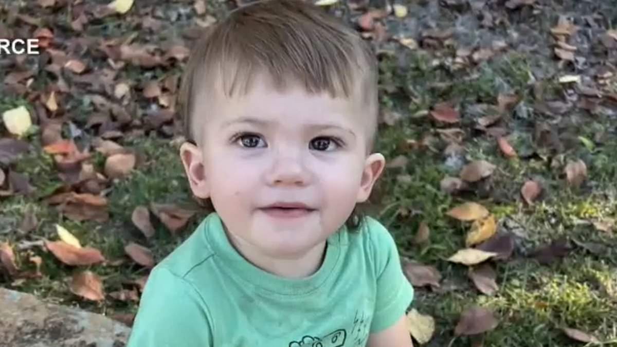 alert-–-adorable-toddler-killed-in-hot-car-on-eve-of-his-2nd-birthday-after-foster-dad-‘forgot-about-him’