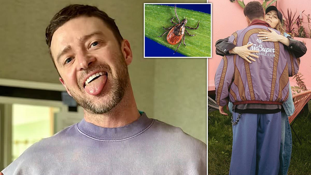 alert-–-justin-timberlake’s-sassy-five-word-declaration-after-lyme-disease-reveal