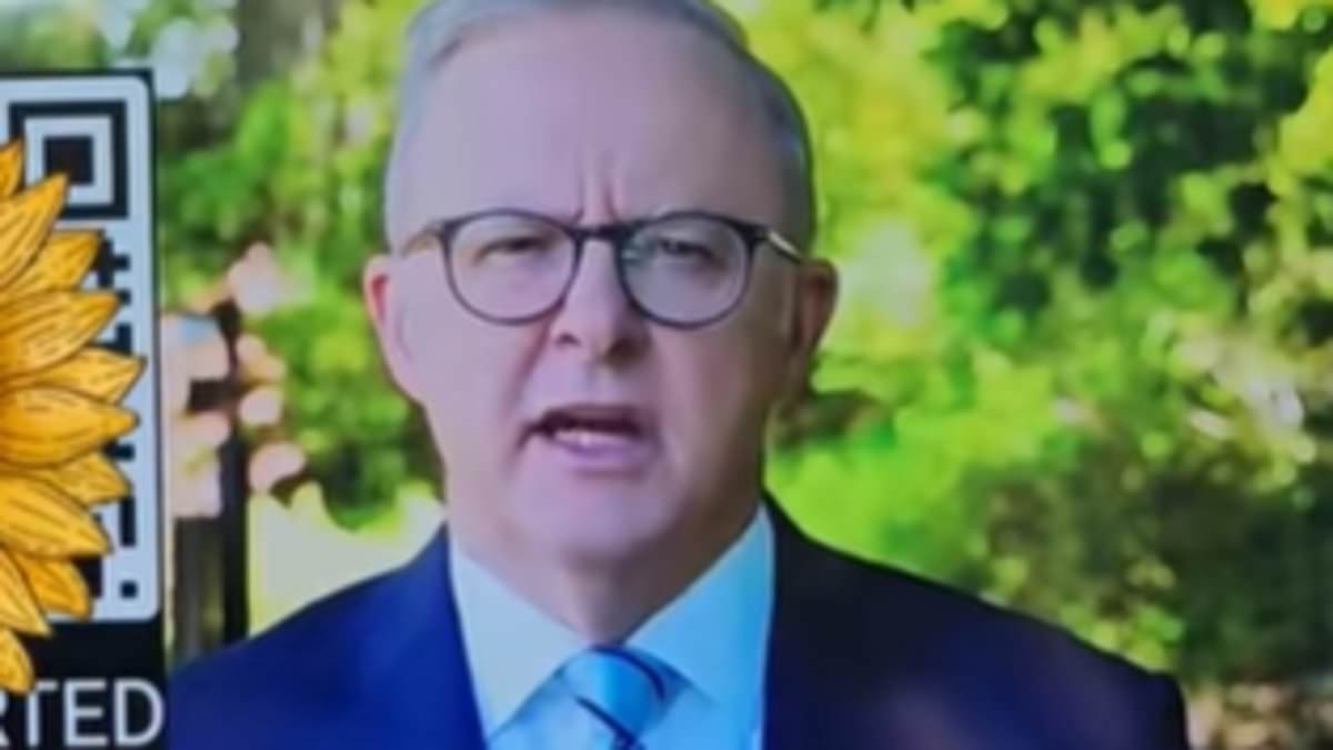 alert-–-ai-albo:-prime-minister-promises-‘financial-freedom’-in-deepfake-video