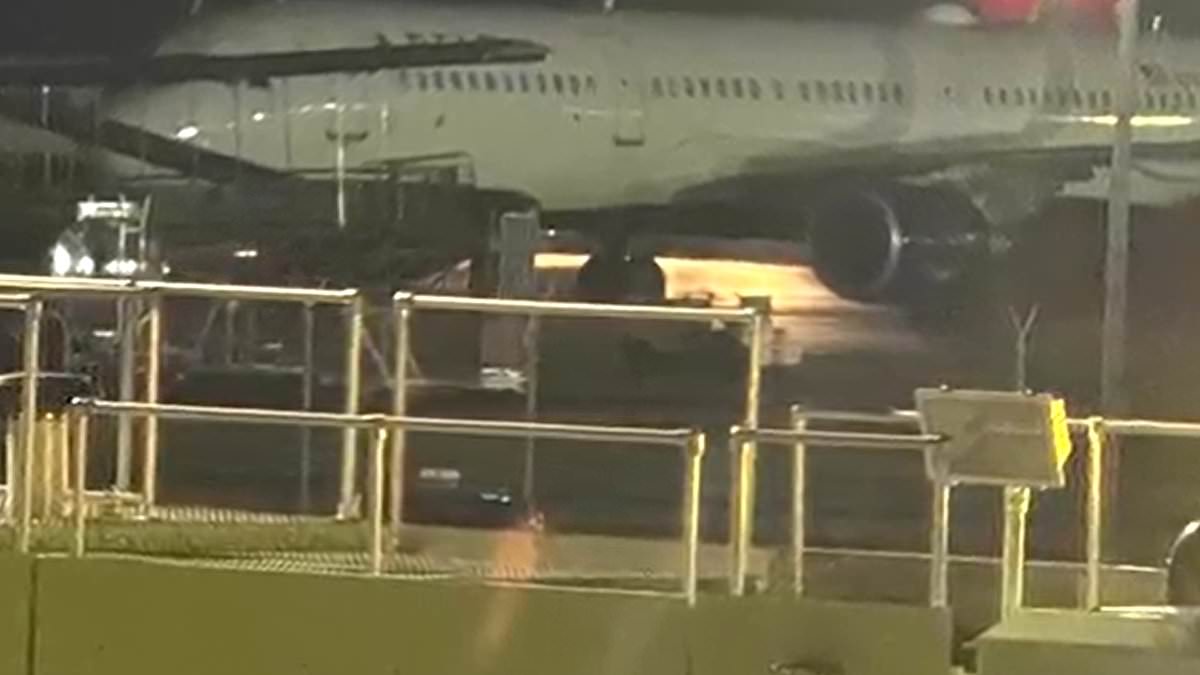 alert-–-delta-flight-from-hell-sees-passengers-trapped-on-runway-for-six-hours-with-no-toilets
