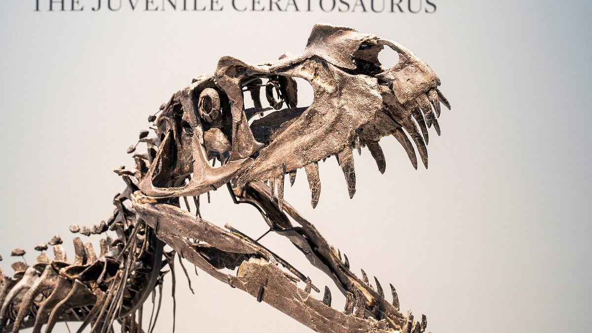 alert-–-inside-the-multi-million-pound-jurassic-underworld:-how-oligarchs-and-the-uber-rich-are-in-a-cut-throat-race-for-trophy-dinosaur-bones-–-and-criminals-are-cashing-in