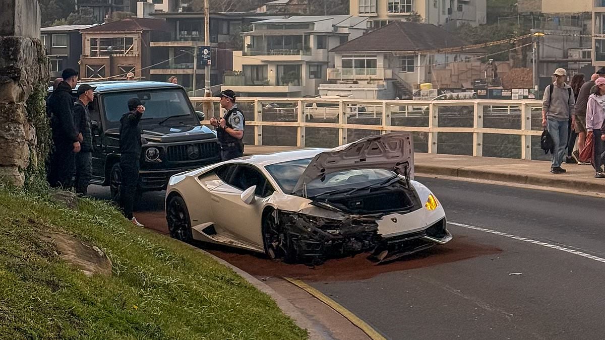 alert-–-lamborghini-driver-gets-a-taste-of-karma-after-brainless-move-on-sydney’s-iconic-bondi-to-coogee-walk