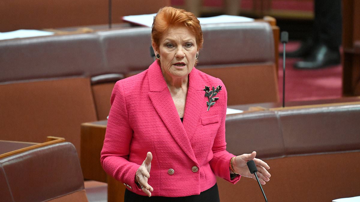 alert-–-pauline-hanson-claims-international-students-are-taking-aussie-jobs-and-dodging-tax