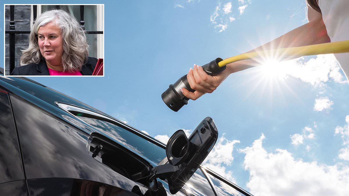 alert-–-tories-savage-‘deranged’-650million-electric-car-grant-scheme-that-‘hands-british-taxpayers’-money-to-foreign-automakers’