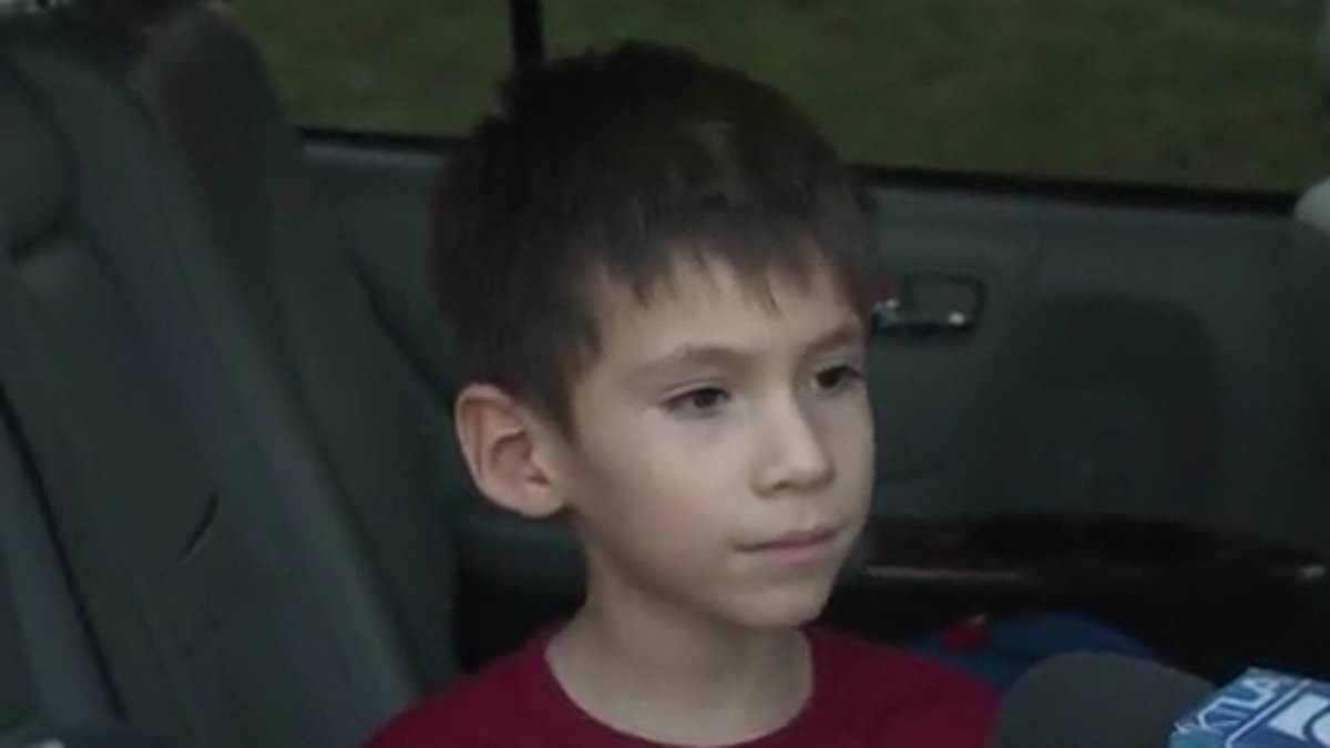 alert-–-little-boy,-6,-is-viciously-attacked-by-apex-predator-while-supporting-his-sister’s-softball-team
